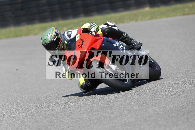 /46 11.08.2025 PADDYS-RACES-DAYS ADR/Sport-Profi/994